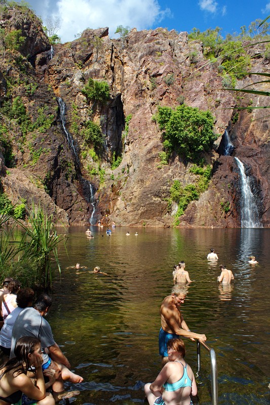 2009-11-06 22-00-40_2.jpg - gibt's hier Krokodile? Na klar! Man muß nur aufpassen, daß man nicht auf sie drauftritt, dann tun sie einem nichts! (typisch australischer Humor...)